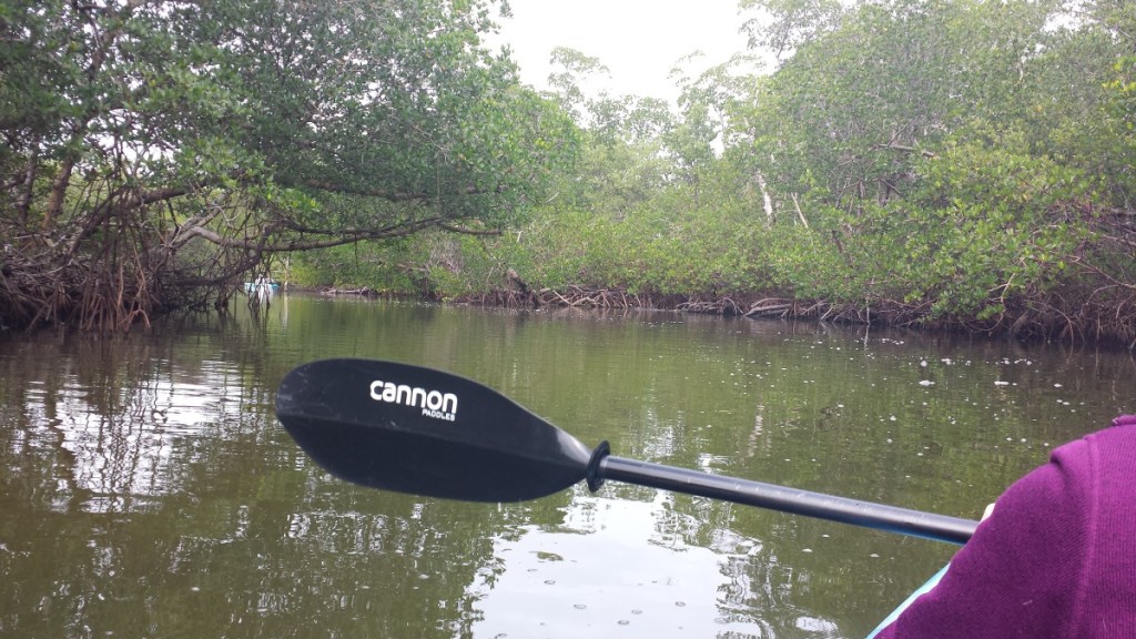 Kayaking in Sanibel Island, FL