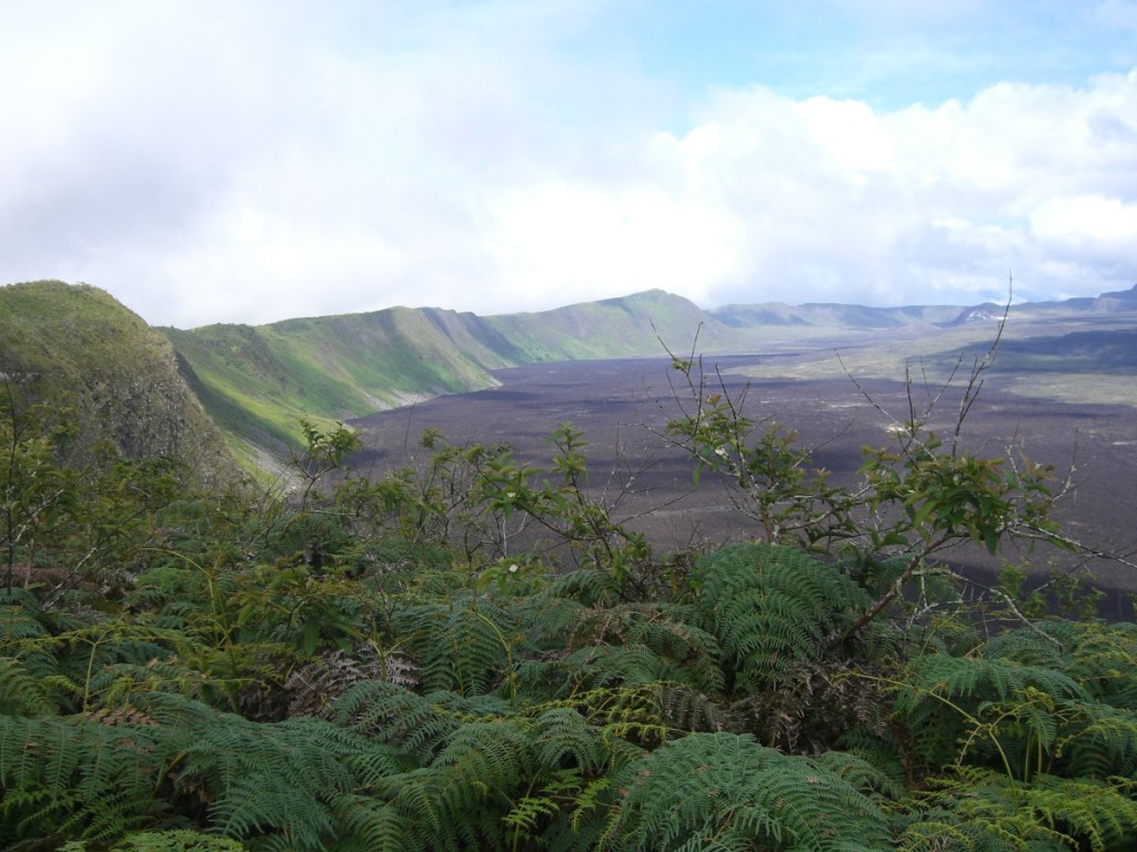 Sierra Negra volcano Isabela Island Galapagos Islands