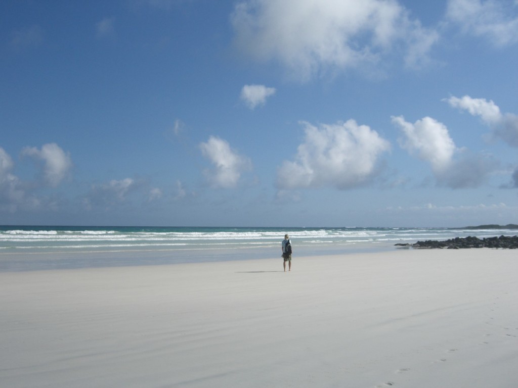 beach Santa Cruz Island Galapagos Islands