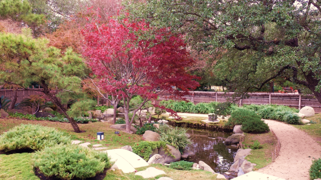 san antonio botanical garden japenese zen garden nature