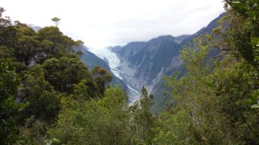 franz josef glacier alex knob trail new zealand hiking