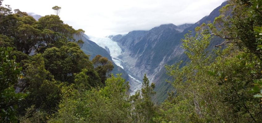 franz josef glacier alex knob trail new zealand hiking