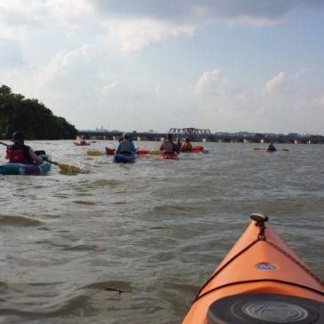 kayaking washington, dc potomac river active