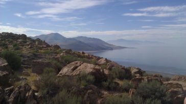 great salt lake antelope island utah instagram photos wanderlust