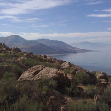 great salt lake antelope island utah instagram photos wanderlust