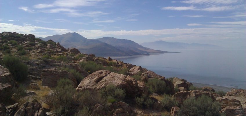 great salt lake antelope island utah instagram photos wanderlust