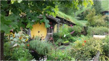hobbit house